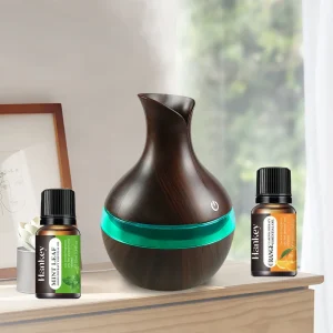 2-in-1 Essential Oil Diffuser & Cool Mist Humidifier – 300ml Ultrasonic Aromatherapy Diffuser with Essential Oils | USB-Powered for Home, Office, and Yoga Relaxation